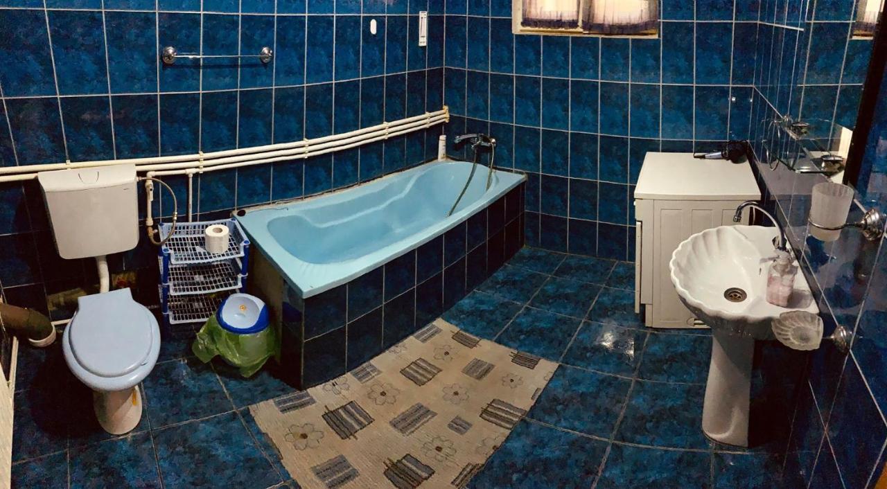 Отель Casa Debora Хацег Экстерьер фото