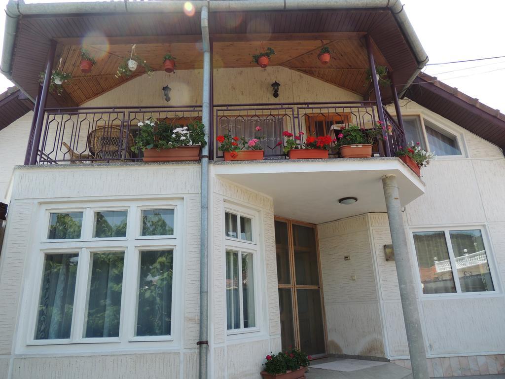 Отель Casa Debora Хацег Экстерьер фото